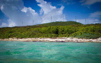 Quadran inaugure une centrale éolienne en Guadeloupe